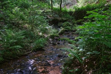 An der Wegkehre (mar)